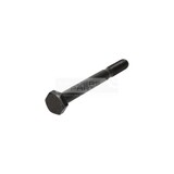 ZESKANTSCHACHTBOUT M10X95-1.77